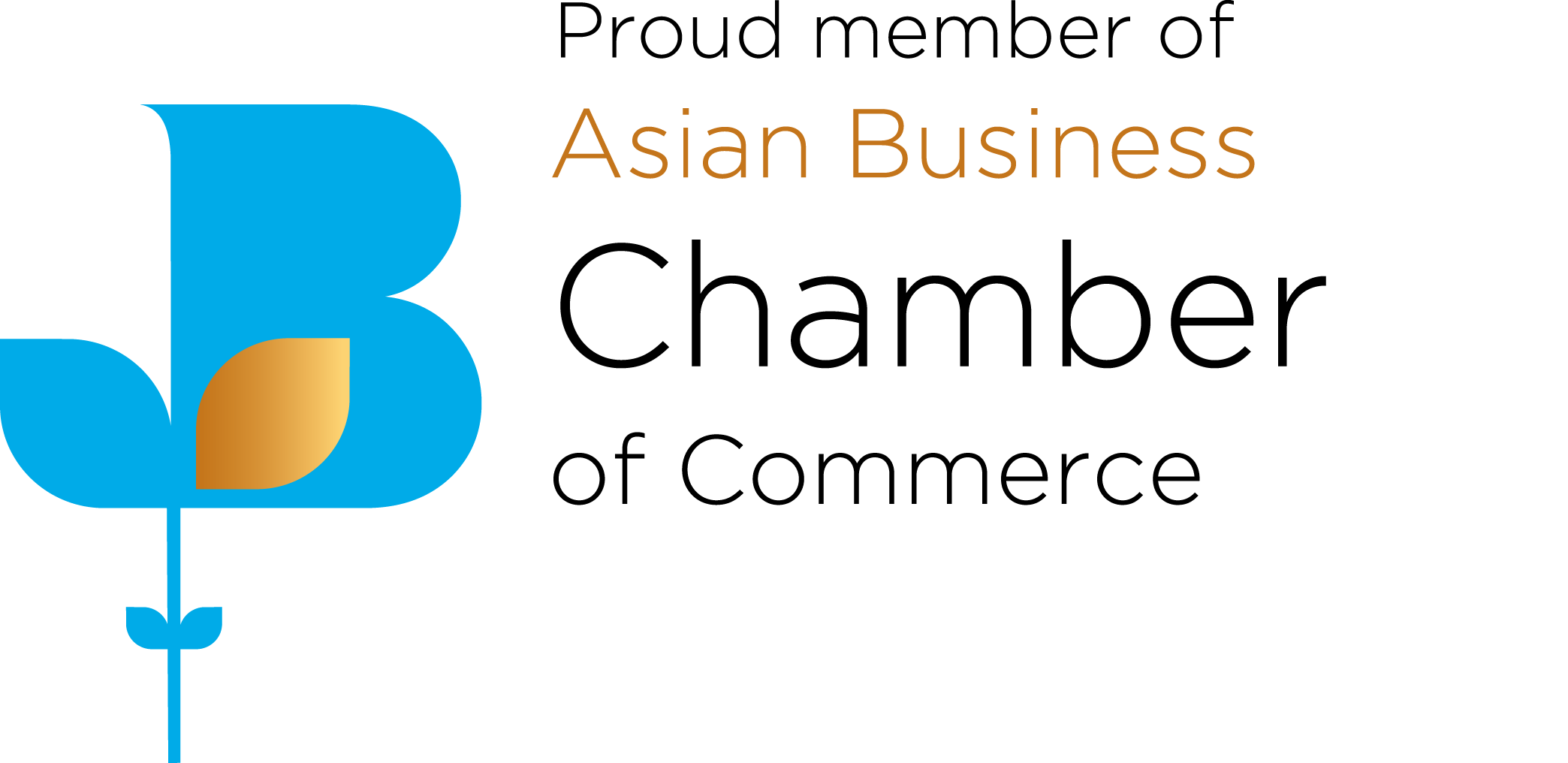 Vasu Legal Immigration Awards and Achievements - Image 4